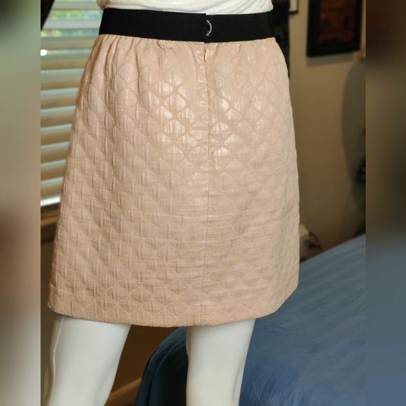 Ann Taylor Loft Pale Pink Embossed Skirt Size 6 - Picture 14 of 14